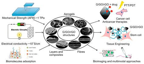  Graphene Oxide Için Değişen Bir Dünyanın Vaatleri: Biyomalzeme Uygulamaları ve Üretim Süreci!