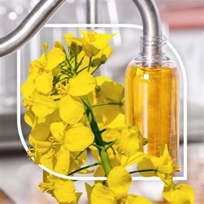  Rapeseed Yağı: Bitkisel Bir Güç Kaynağı mı?