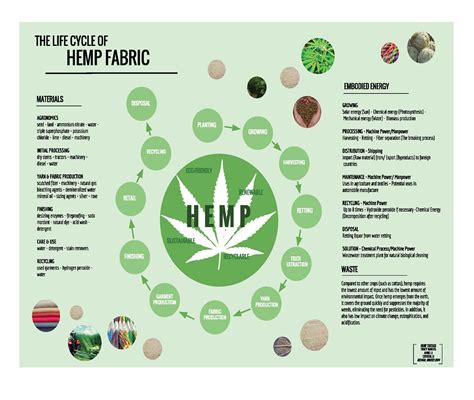 Hemp Lifecycles in Sustainable Textile Production: Exploring its Biodegradable Wonders!